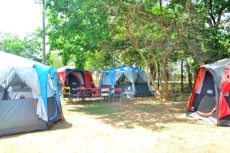 Camping At Pocharam Wildlife Sanctuary