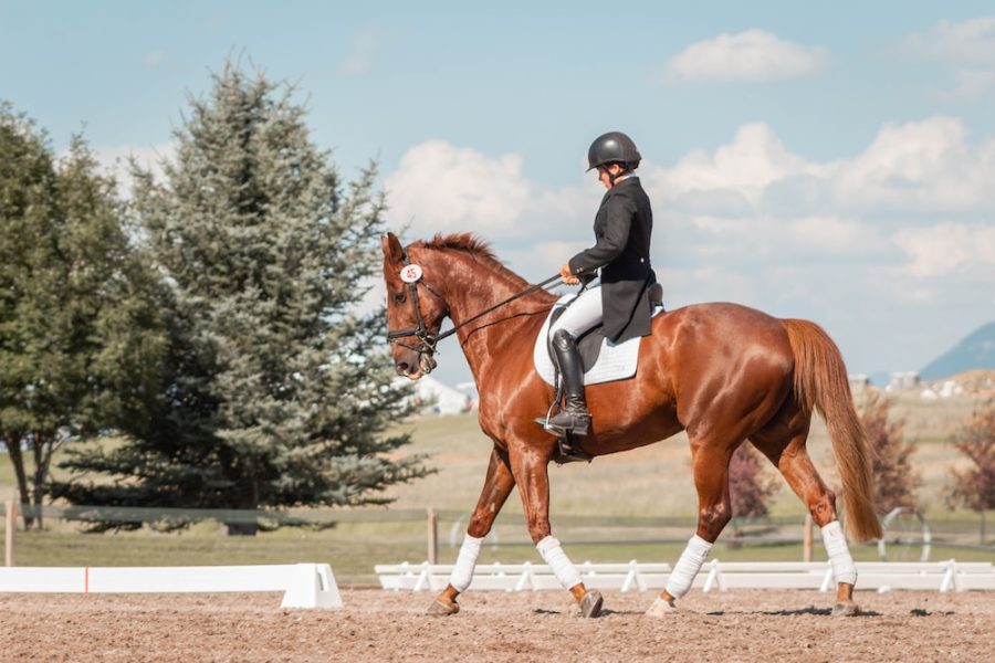 Infinite Horse Riding Club