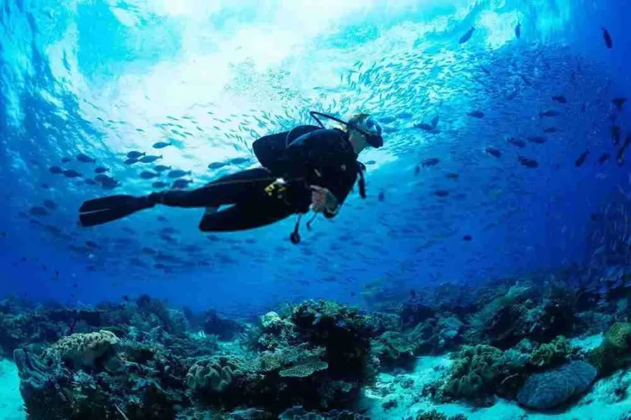 scuba diving & water sports