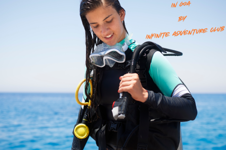 Professional scuba diving with pick up and drop