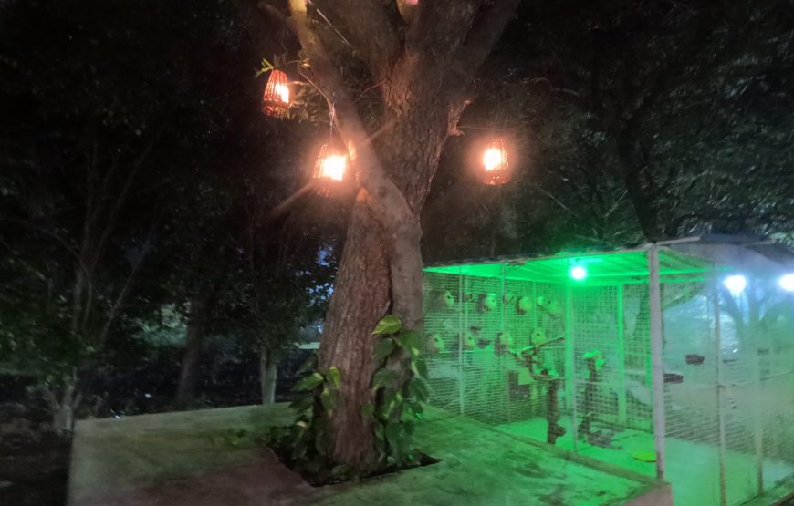 Pool side Night camping in Ananthagiri Hills
