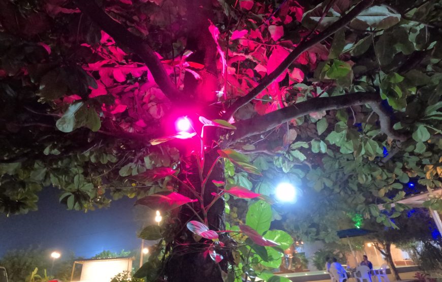 Pool side Night camping in Ananthagiri Hills