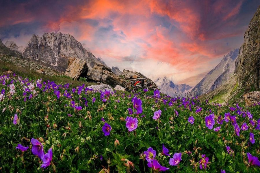 valley of flowers trek by infinite adventure club